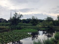 -西湖风景区-江洋畈生态公园