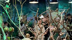 -Zoolung Zoolung动物主题公园(海信广场店)