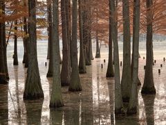 -白鹭湾湿地公园