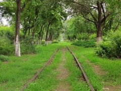 -永定河休闲森林公园