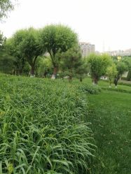 -27°罗马风情婚纱摄影