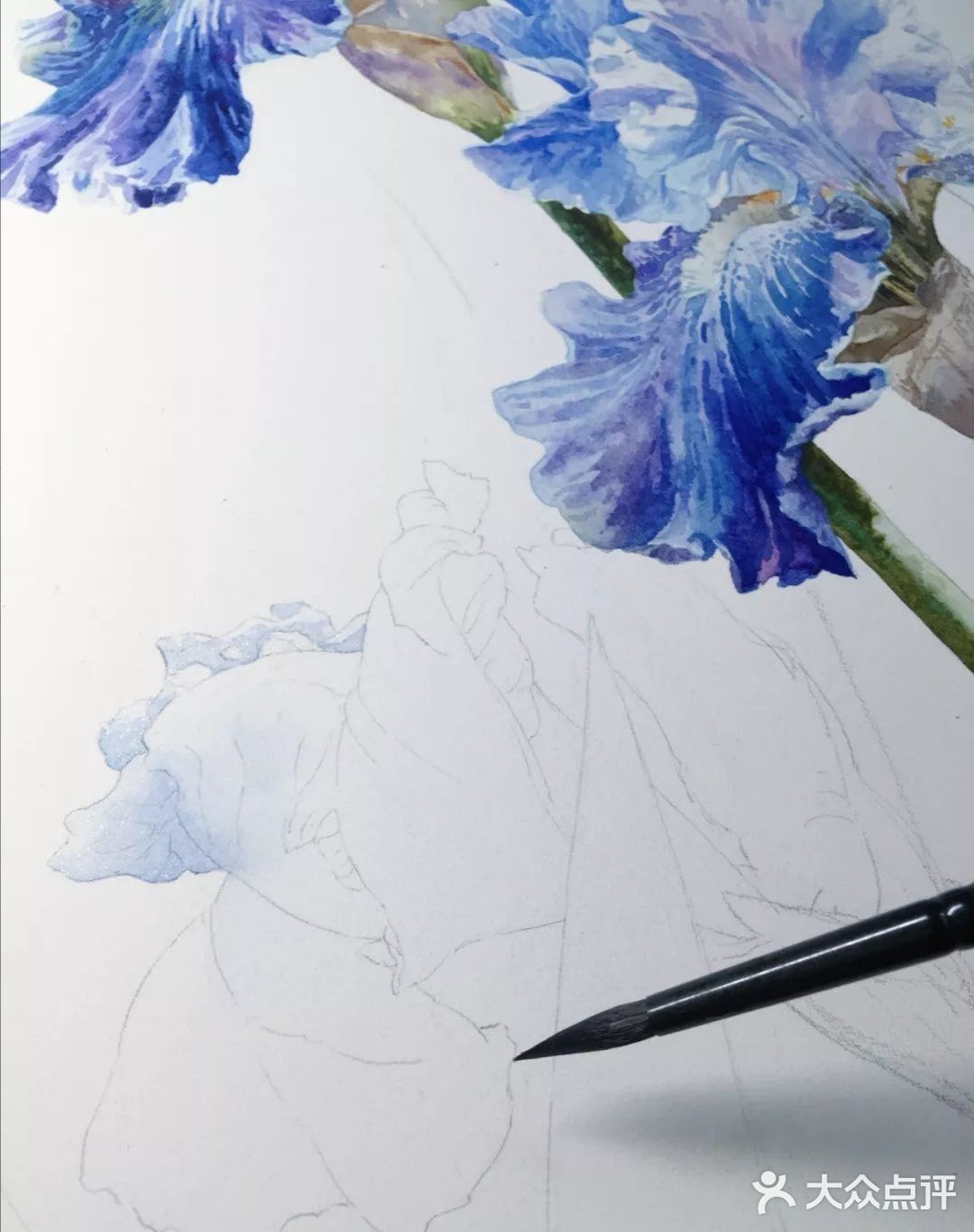 水彩画家付愈水彩静物[礼花][礼花]