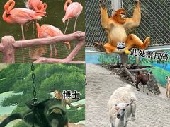 -西安秦岭野生动物园