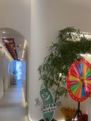 -紫琪尔·匠心连锁·胸部护理养护