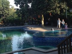 iphone_upload_pic-开心农场温泉度假村