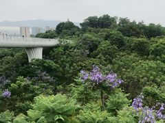 -飞凤山奥体公园