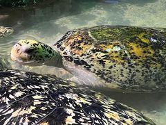 -南昌海洋公园