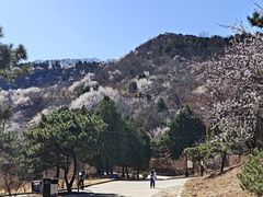 -北京西山国家森林公园