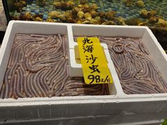-大树头森林餐厅(番禺广场店)
