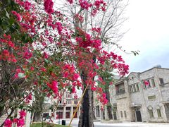 -赤坎·广东华侨国际旅游度假区