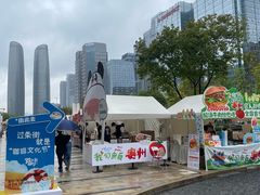 -合景·悠方(成都店)