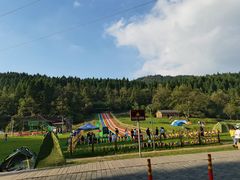 -武陵山森林公园