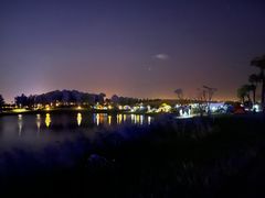 -春花秋色城市公园