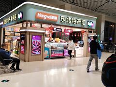 -哈尔滨太平国际机场-T2航站楼