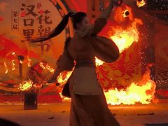 -武汉园博园(武汉自然博物馆)