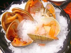 象拔蚌-捞围鲜·港式打边炉(海阳路店)