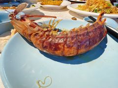 -驻海渔市(置信店)