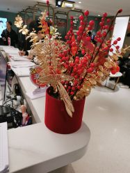 -云南吴氏嘉美医疗美容医院