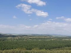 -塞罕坝国家级自然保护区