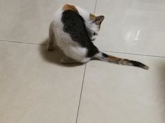 -深圳市人民医院(留医部)