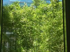 -梅花境(万科店)