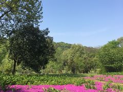-采石矶景区