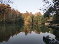 -东湖落雁景区