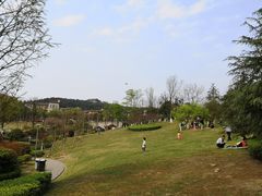 -铁山坪森林公园