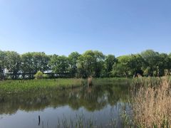 -西湖风景区-江洋畈生态公园