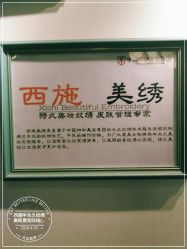 -西施无菌半永久纹绣眉眼影唇轻增发纹发际线