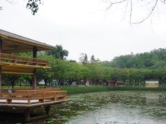 -李小龙乐园(顺德均安店)