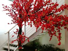 -骑鹅公社(南开大悦城店)