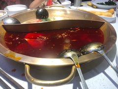 -小龙坎火锅(总店)