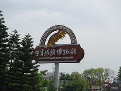 -自贡恐龙博物馆