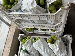 -马陆小张葡萄园农家乐