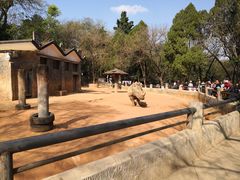 -昆明动物园