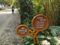 -滴水岩森林公园