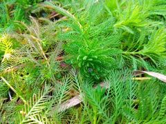 -白鹭湾湿地公园