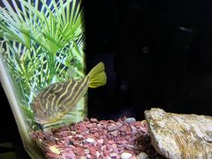 -上海海洋水族馆