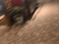 -老阿妈蒙古村·蒙古包·草原文化·歌舞表演(老君堂店)