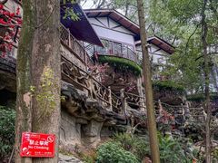 -巴倒烫陆派重庆火锅(南山店)
