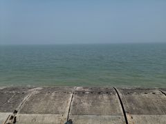 -东疆建设开发纪念公园