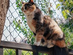 -里面·Noodlology(机电院店)