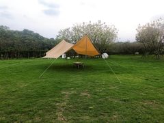 -福建鲤鱼洲酒店