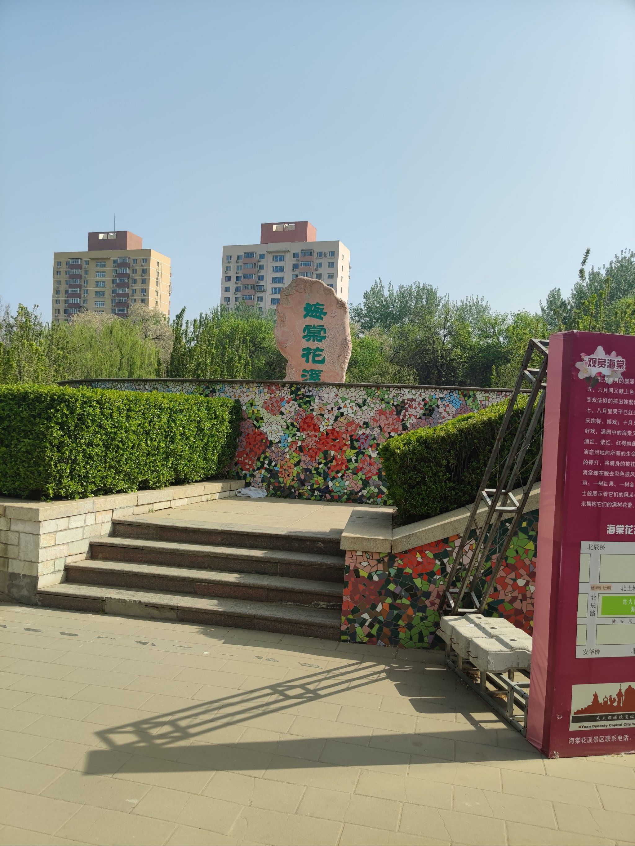 花期己过,再看等明年