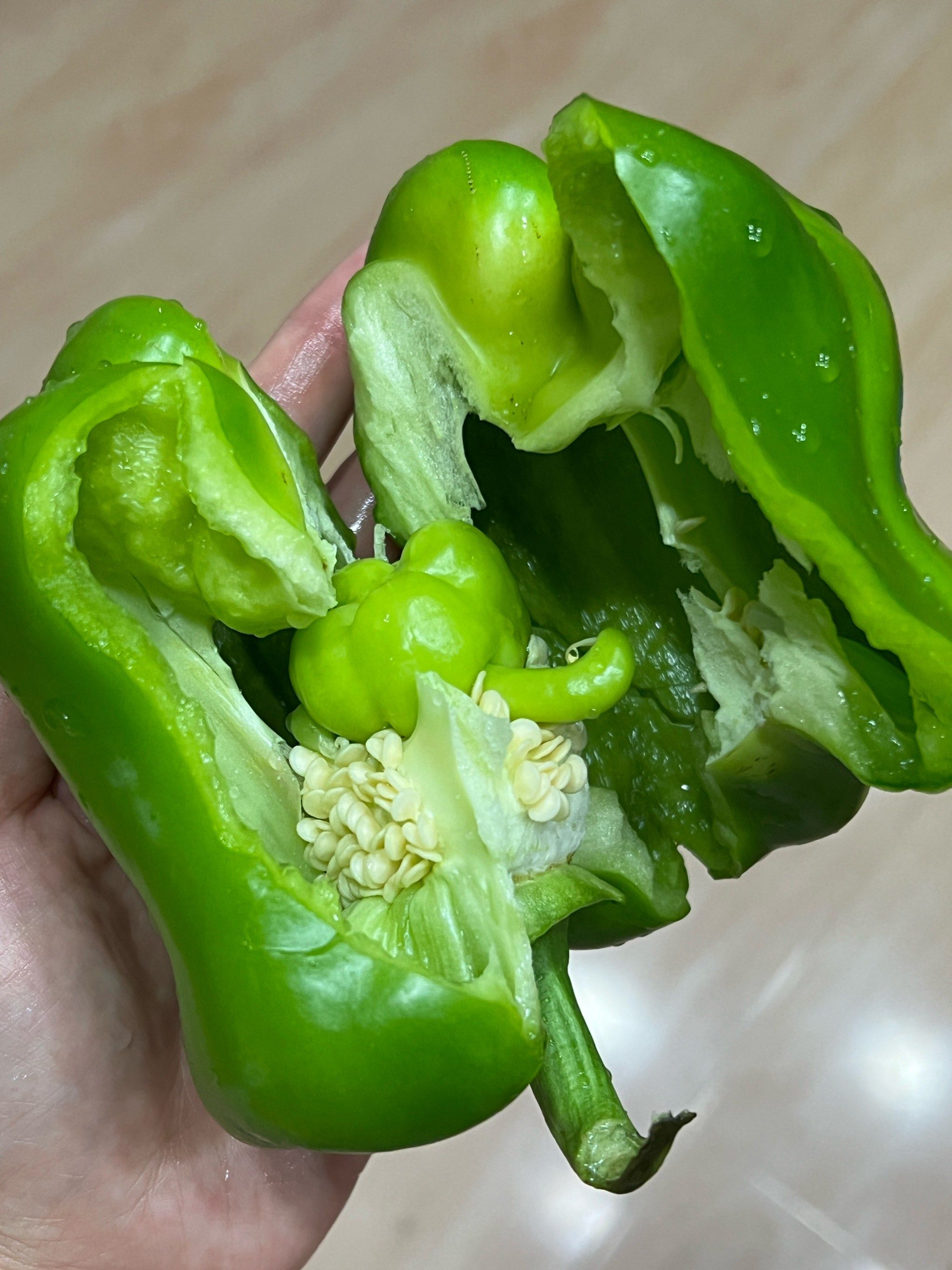 这个青椒怀孕了,还是个男孩