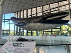 -中国（海南）南海博物馆