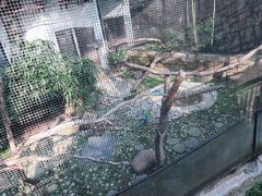 -九龙公园
