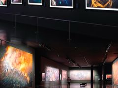 -罗红摄影艺术馆