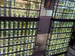 -广东中医药博物馆